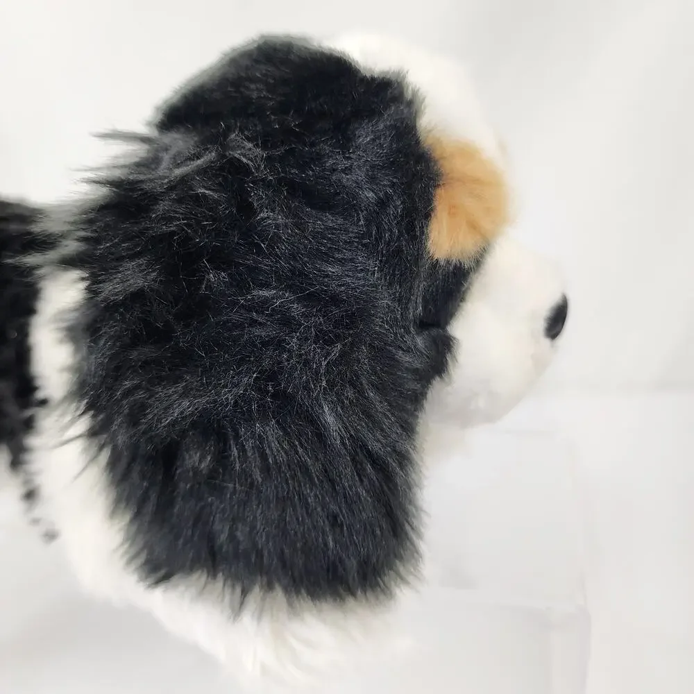 Aurora cavalier king